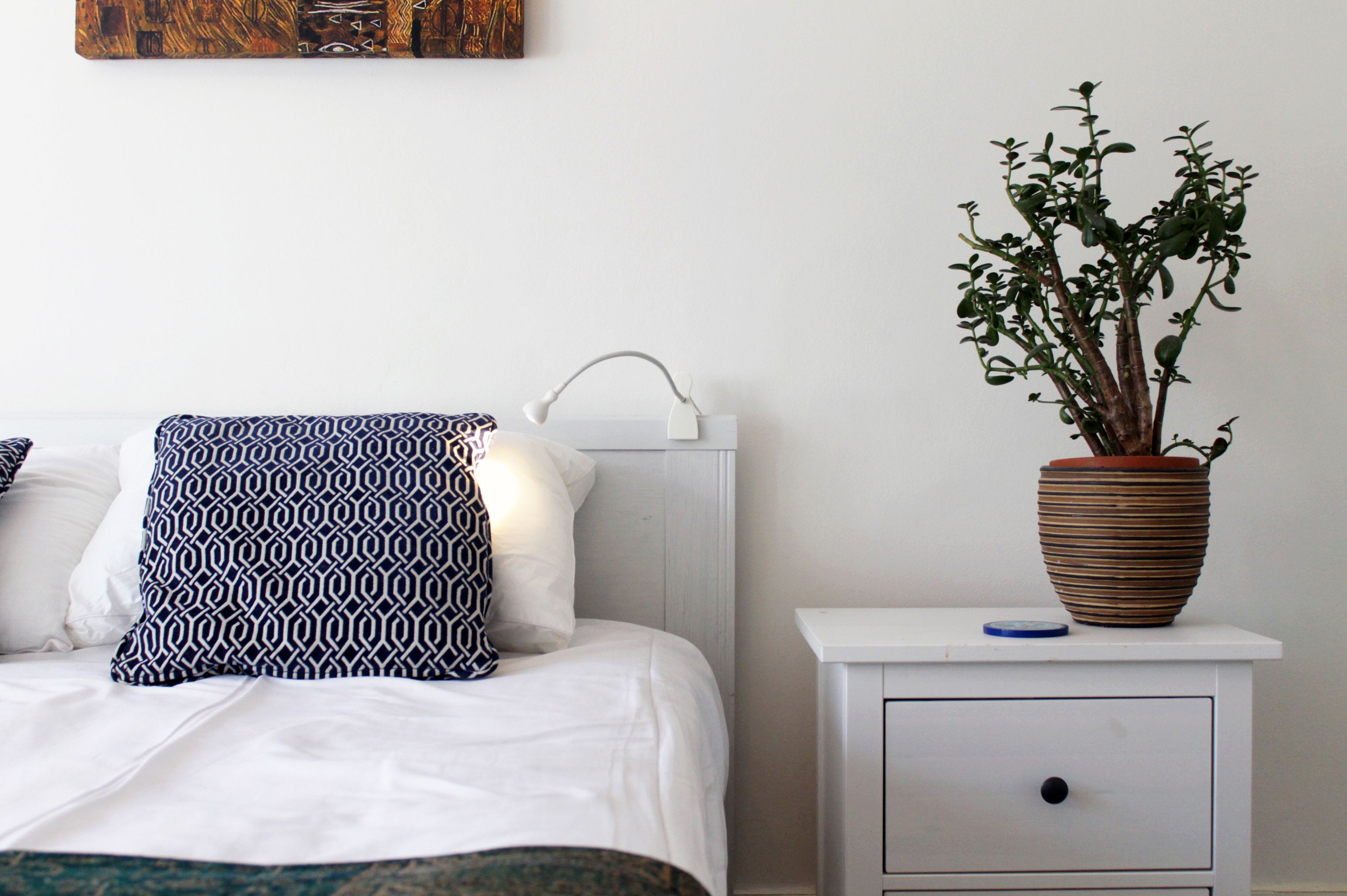 A neatly made bed with patterned pillows, a bedside lamp, a potted plant, and a small drawer unit.