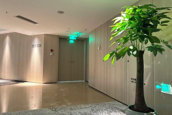 Un pasillo con una planta en maceta, una puerta con un letrero y una lámpara.