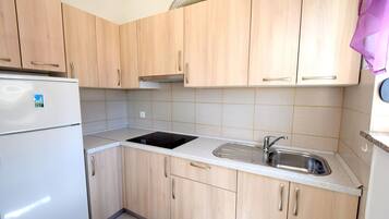 Fridge, stovetop, cookware/dishes/utensils