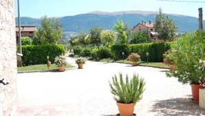 Une rue résidentielle bordée de maisons, de plantes en pot, et offrant une vue dégagée sur les montagnes en arrière-plan.