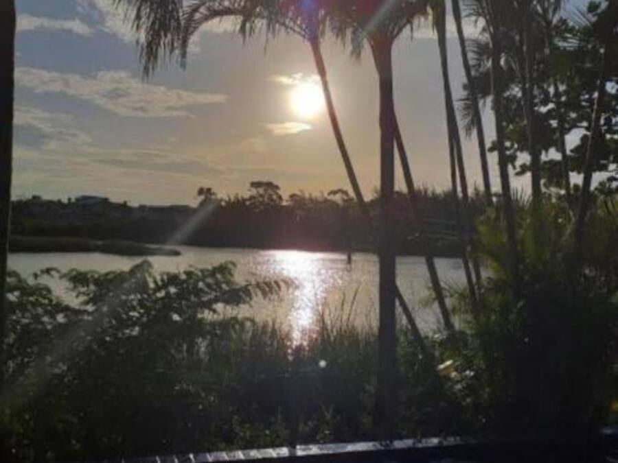 Atardecer sobre un cuerpo de agua, con palmeras al frente.