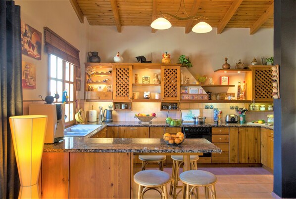 Villa | Private kitchen | Full-sized fridge, microwave, stovetop, dishwasher