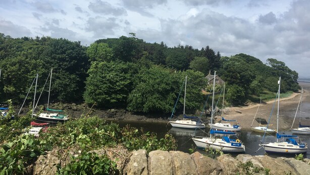 Garden - Silver Lining - Cottage by the sea (Edinburgh)