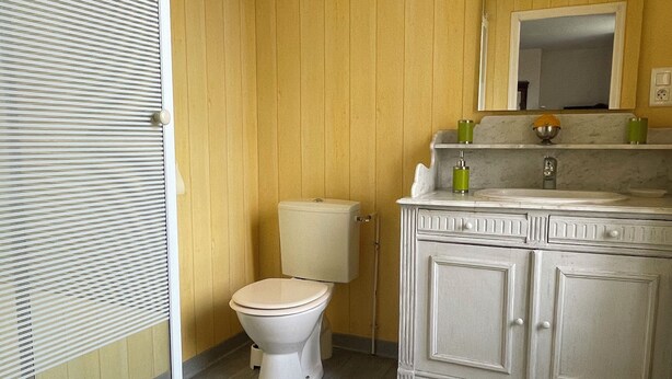 A bathroom with a toilet, a vanity with a mirror, and a shower area. - Chambres d’hôtes d'Origny-en-Thierache (Origny-en-Thierache)