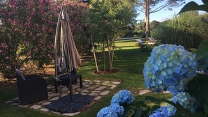 Terrace/patio - Casa Fiorita (Ventiseri)