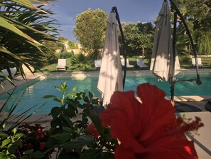 Piscine extérieure (ouverte en saison), parasols de plage