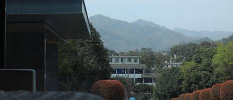 A modern building with a flat roof and large windows, surrounded by lush greenery and mountains in the background.