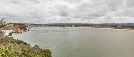 A coastal view with a wide beach, a calm sea, and a distant town.