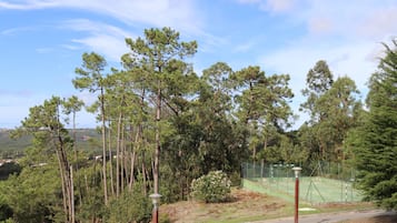 Sports court
