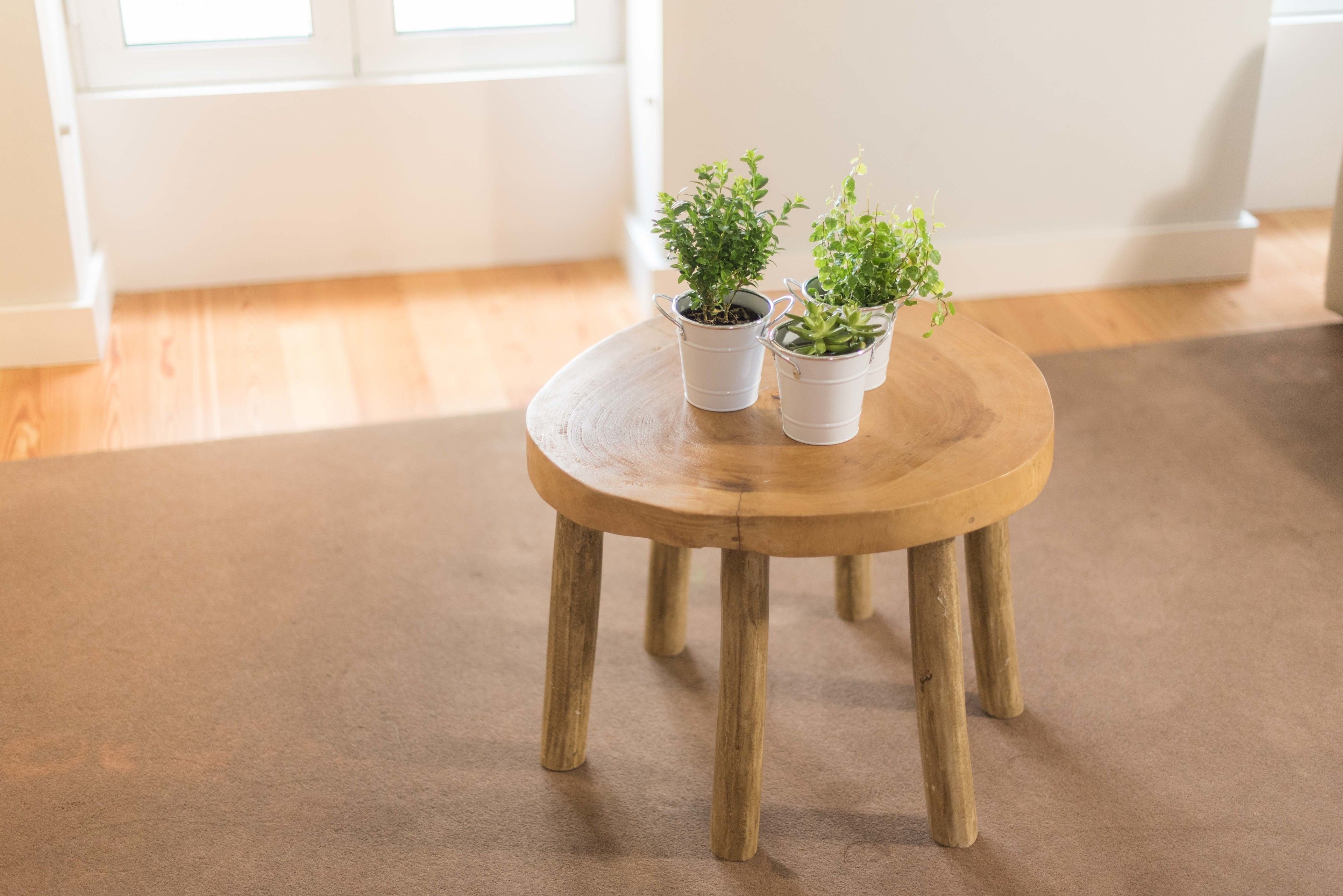 Standard Apartment, 1 Bedroom, Patio | Living room | Flat-screen TV