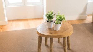Un petit tabouret en bois sur lequel sont posés trois pots de plantes, le tout sur un sol recouvert d’une moquette.