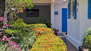 Un chemin de jardin menant à un bâtiment doté d’une porte bleue, entouré de fleurs et de plantes aux couleurs vives.