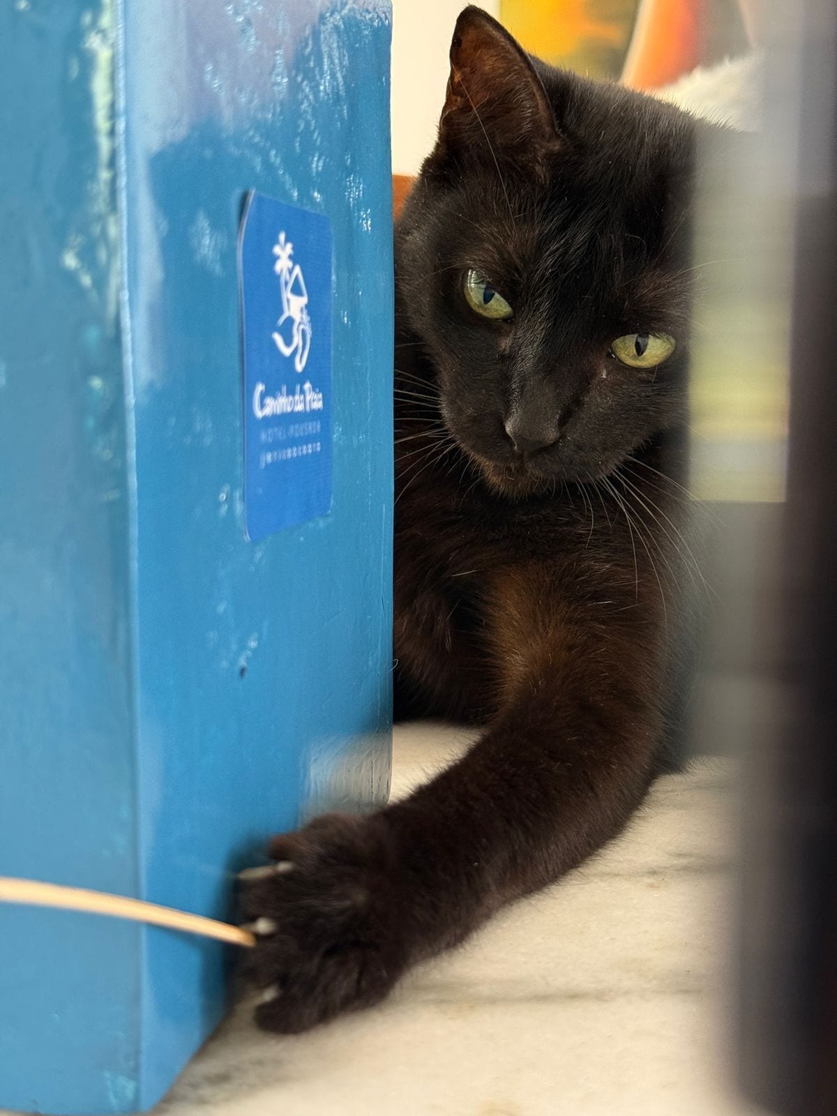 Foto - Pousada Caminho da Praia