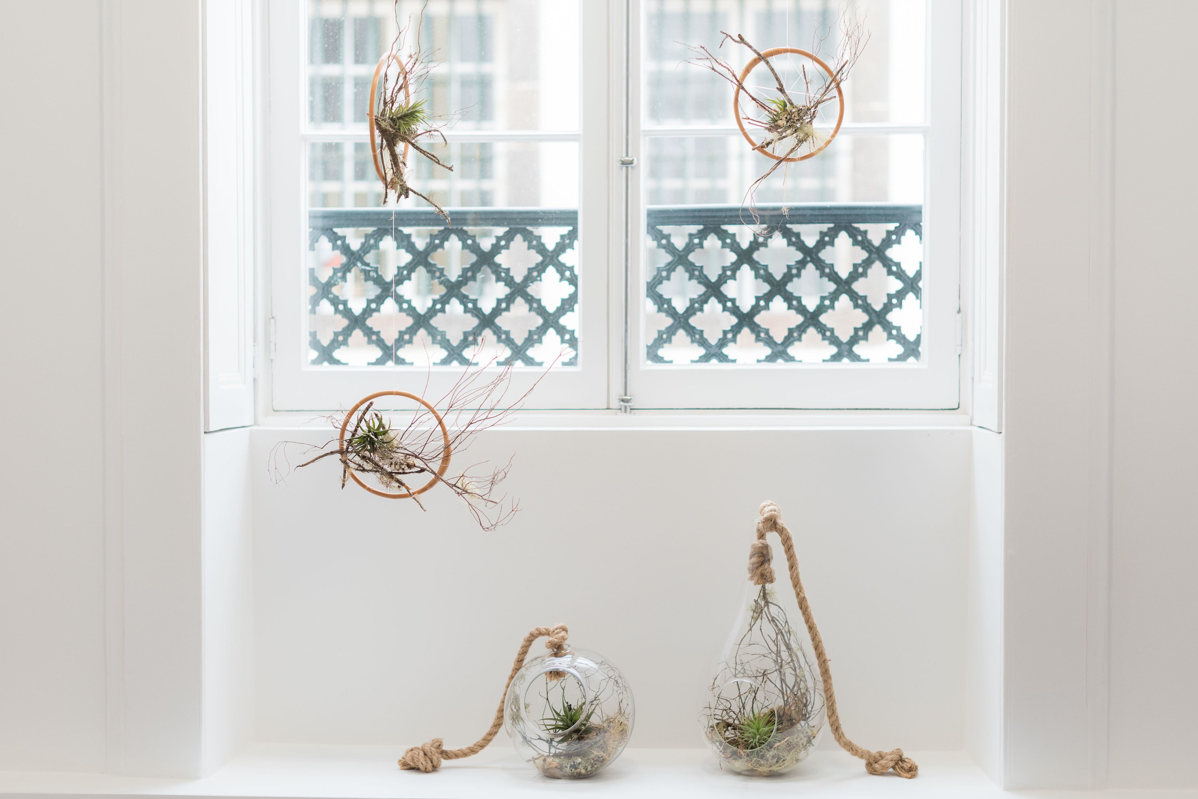 Three glass terrariums with plants and rope, hanging by a window with a lattice design.