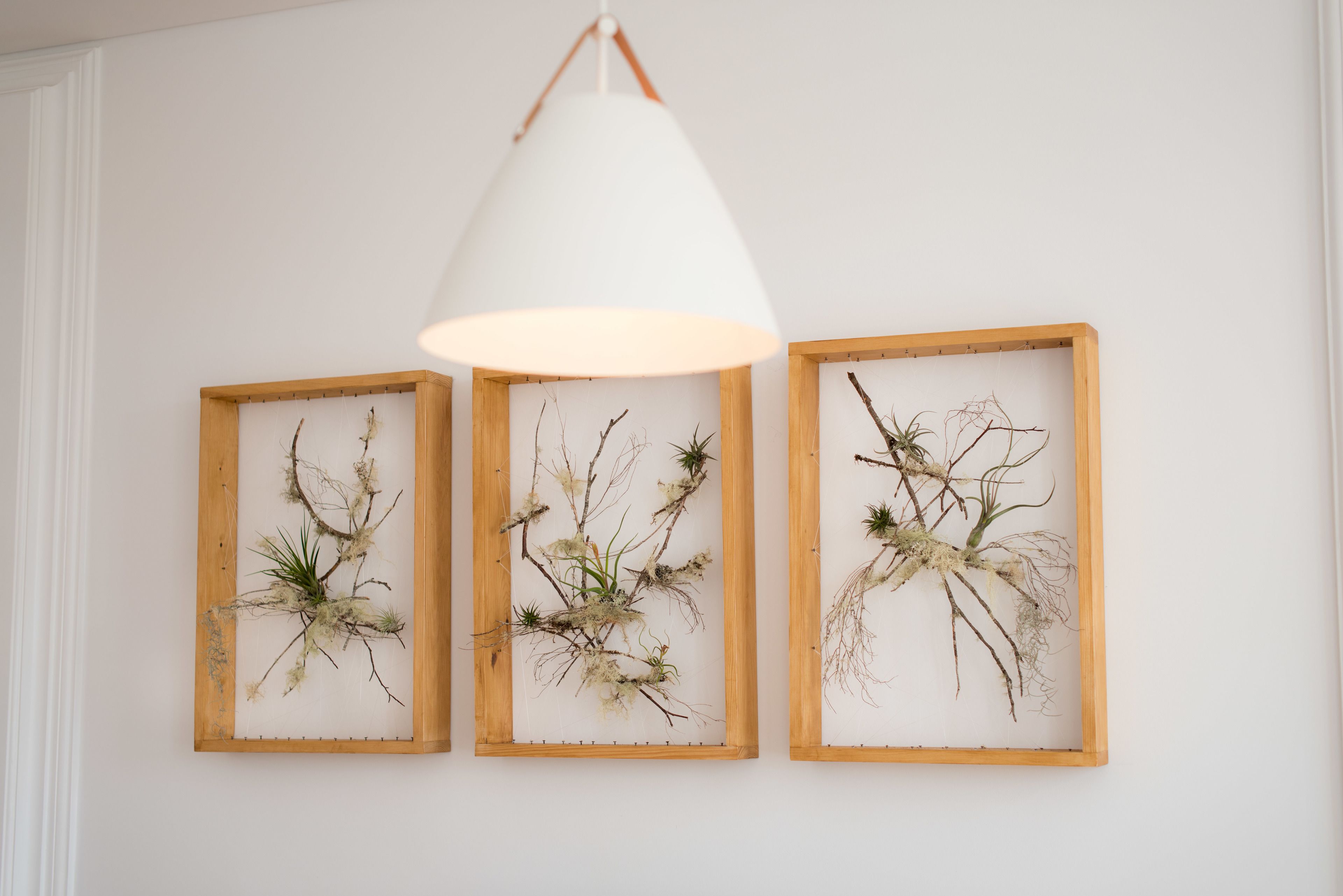 Three framed botanical art pieces on a wall under a white pendant light.