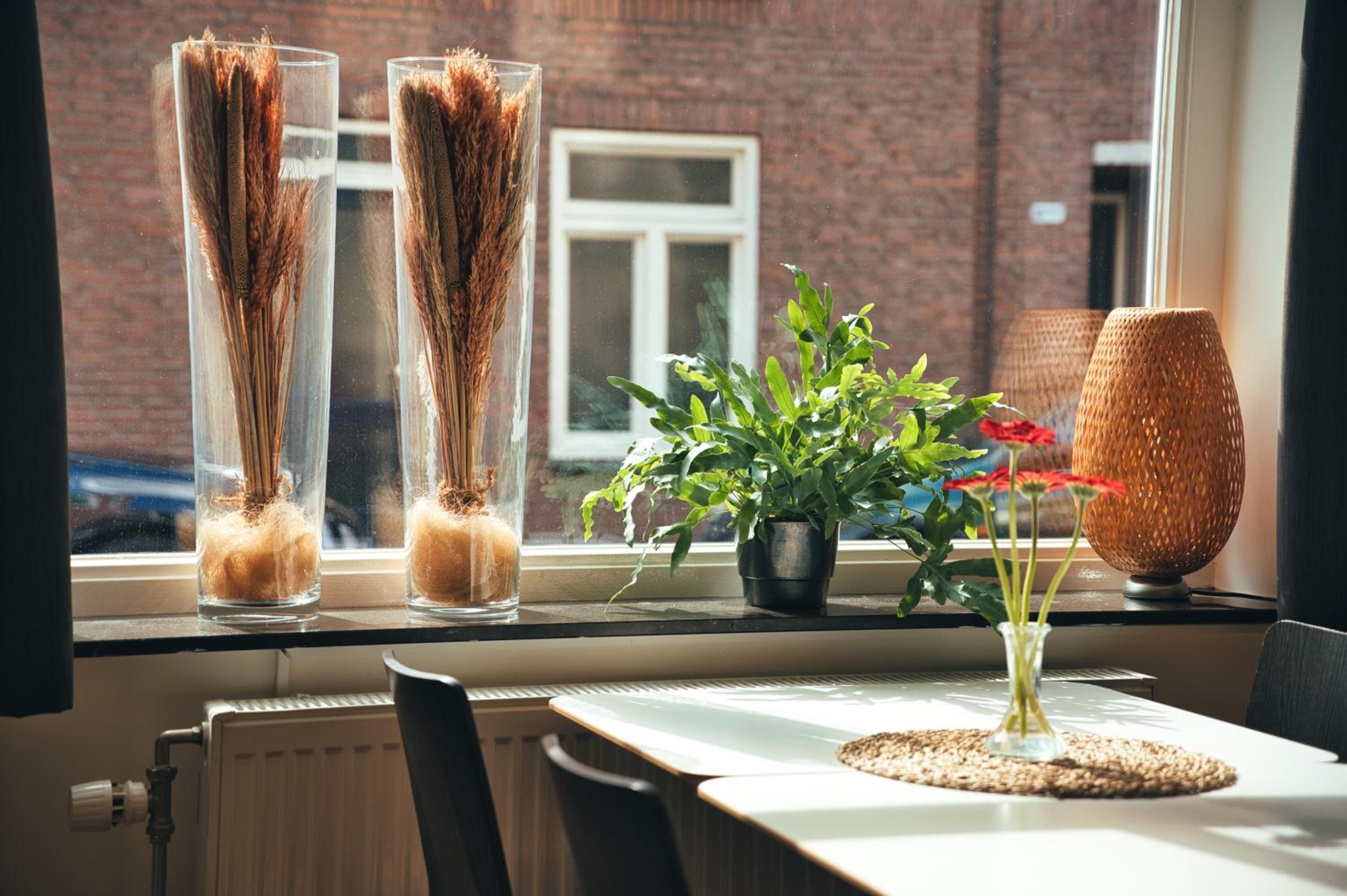 Een vensterbank met twee hoge glazen vazen met gedroogde planten, een potplant met groene bladeren en rode bloemen, en een geweven lamp.