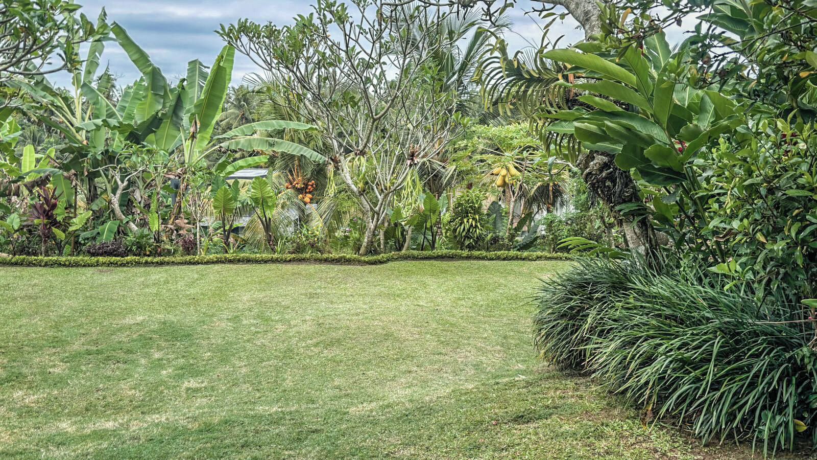 Foto - DLobong Suites Ubud