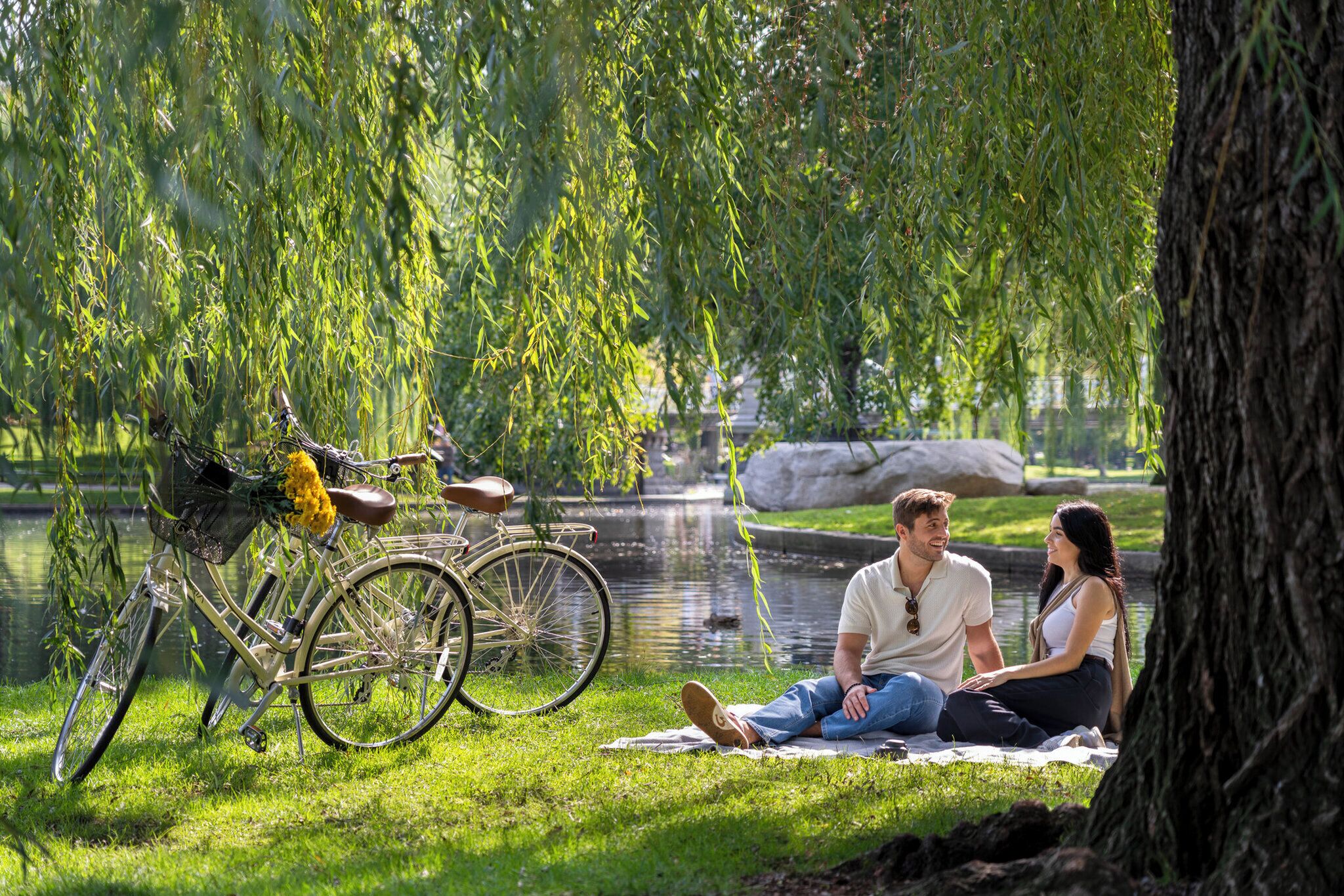 A park with a bicycle, a picnic setup, and a calm lake.