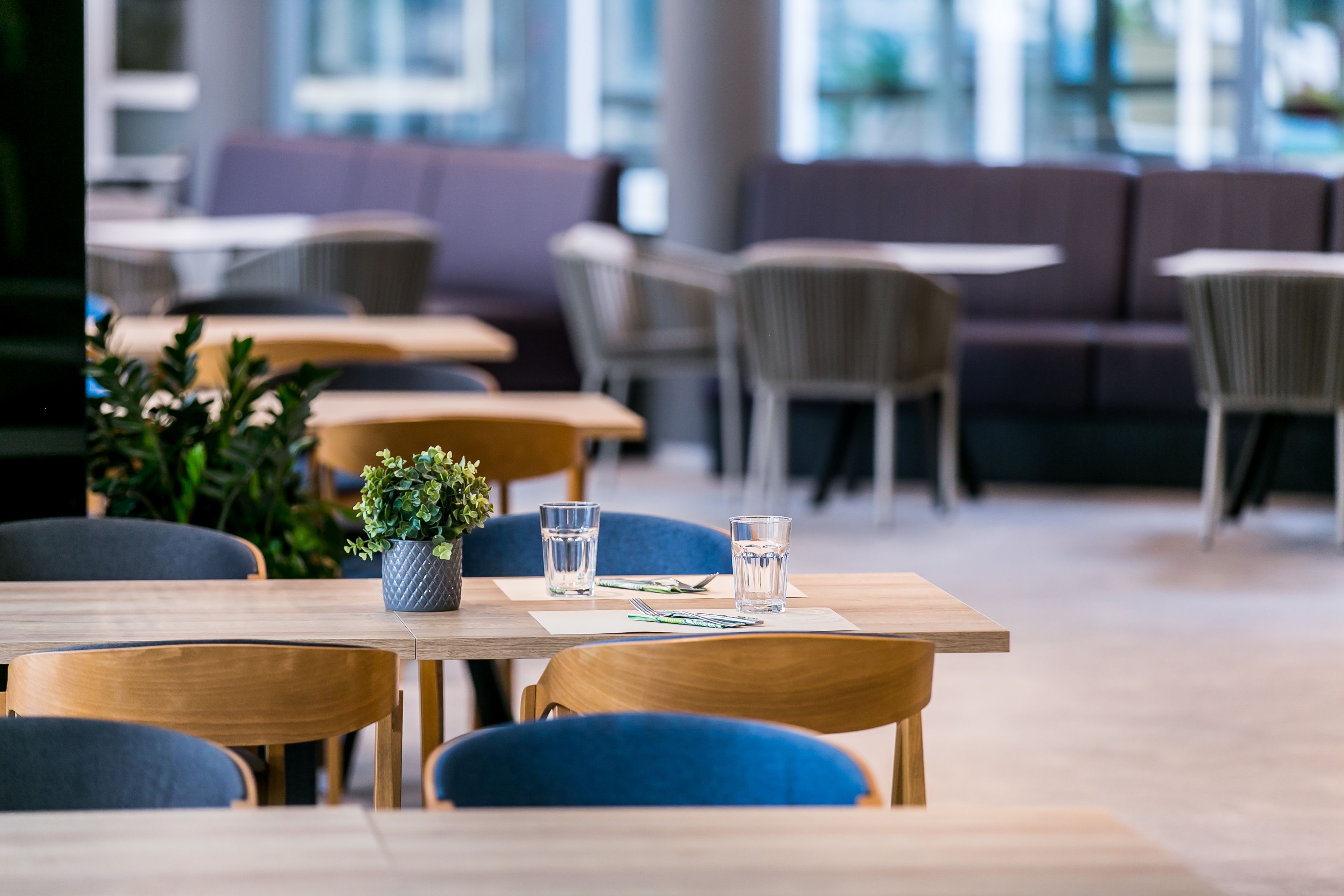 Un restaurante moderno con mesas de madera y sillas azules, una planta en maceta y vasos transparentes sobre las mesas.