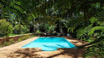 Outdoor pool, sun loungers