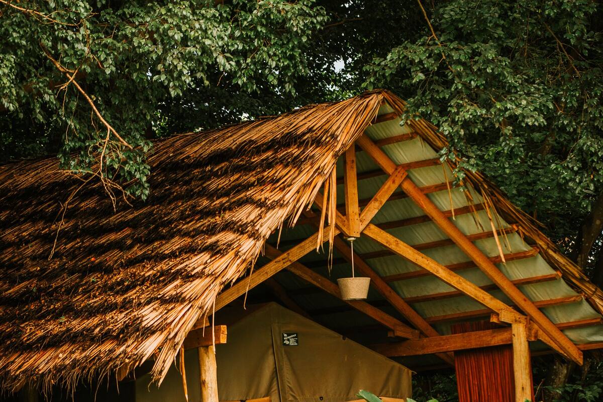 Premium Tent, 1 Queen Bed, Non Smoking, Pool View | Terrace/patio