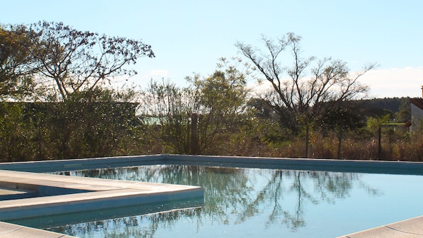A swimming pool with clear water, surrounded by a concrete deck and lush greenery.