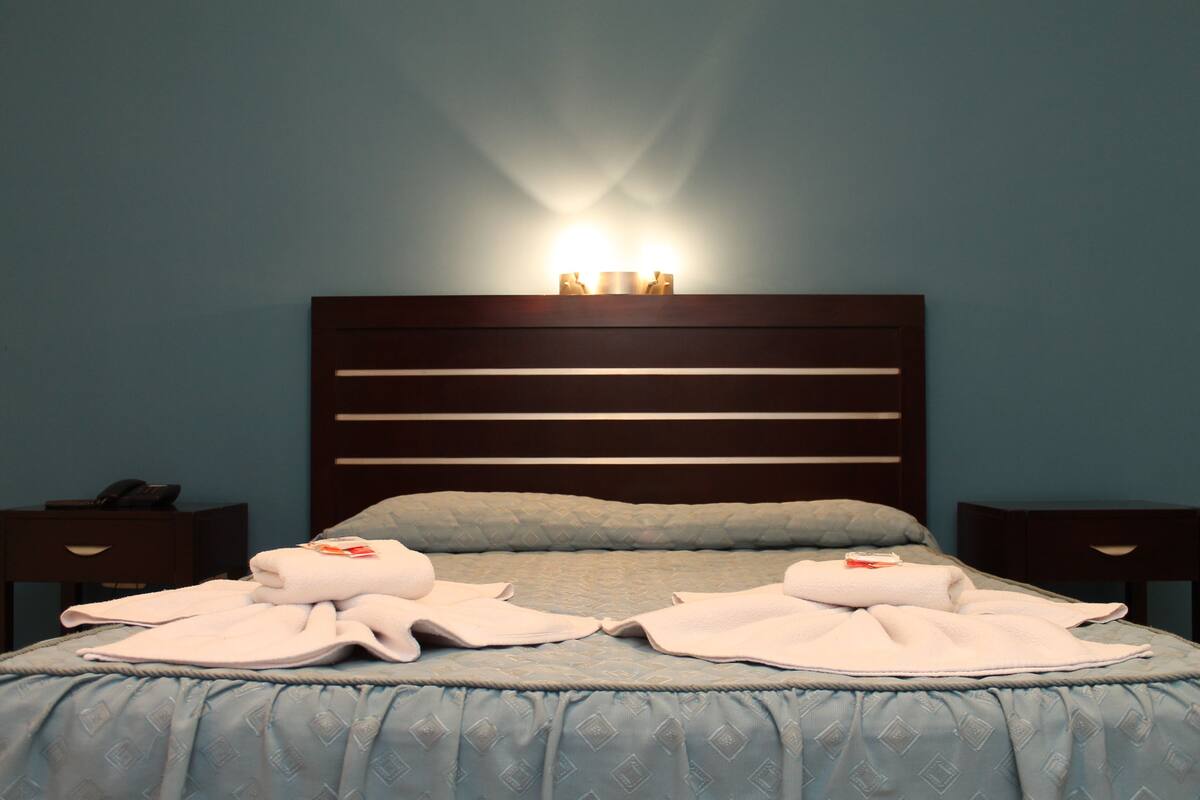 Habitación Premium, vistas al jardín | Minibar, escritorio, cortinas opacas y wifi gratis