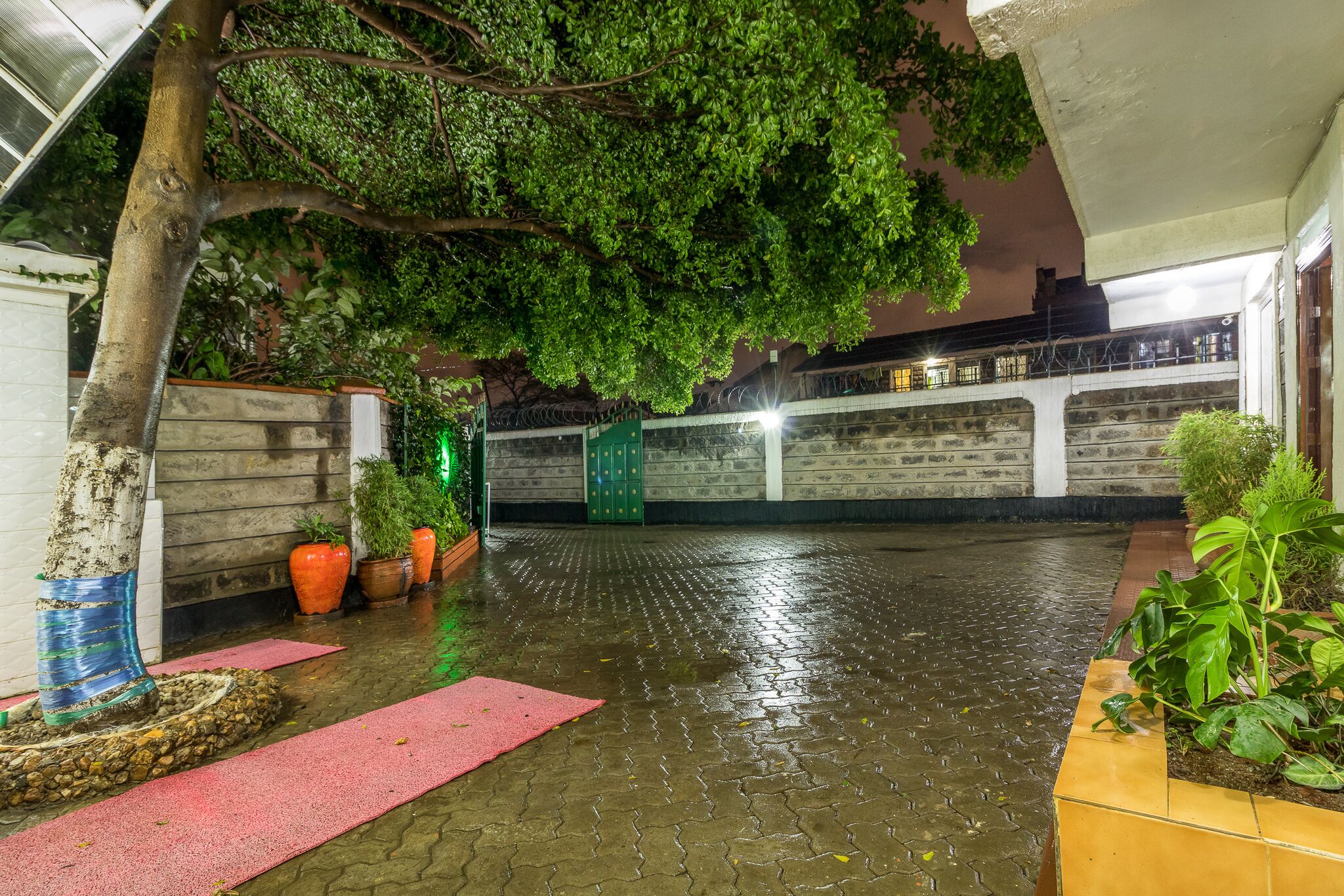 Foto - Javilla Eagles Safari Guest house