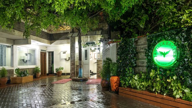 Entrada de hotel con un letrero verde, plantas en macetas y un camino empedrado mojado.