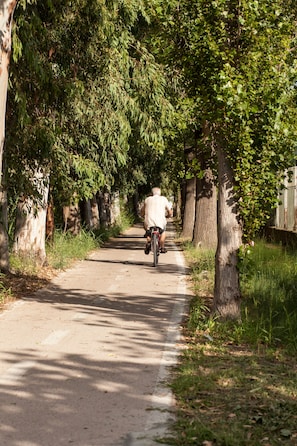 A paved path lined with trees and a cyclist riding away from the viewer. - Camping&Residence Il Pioppeto (Vasto)