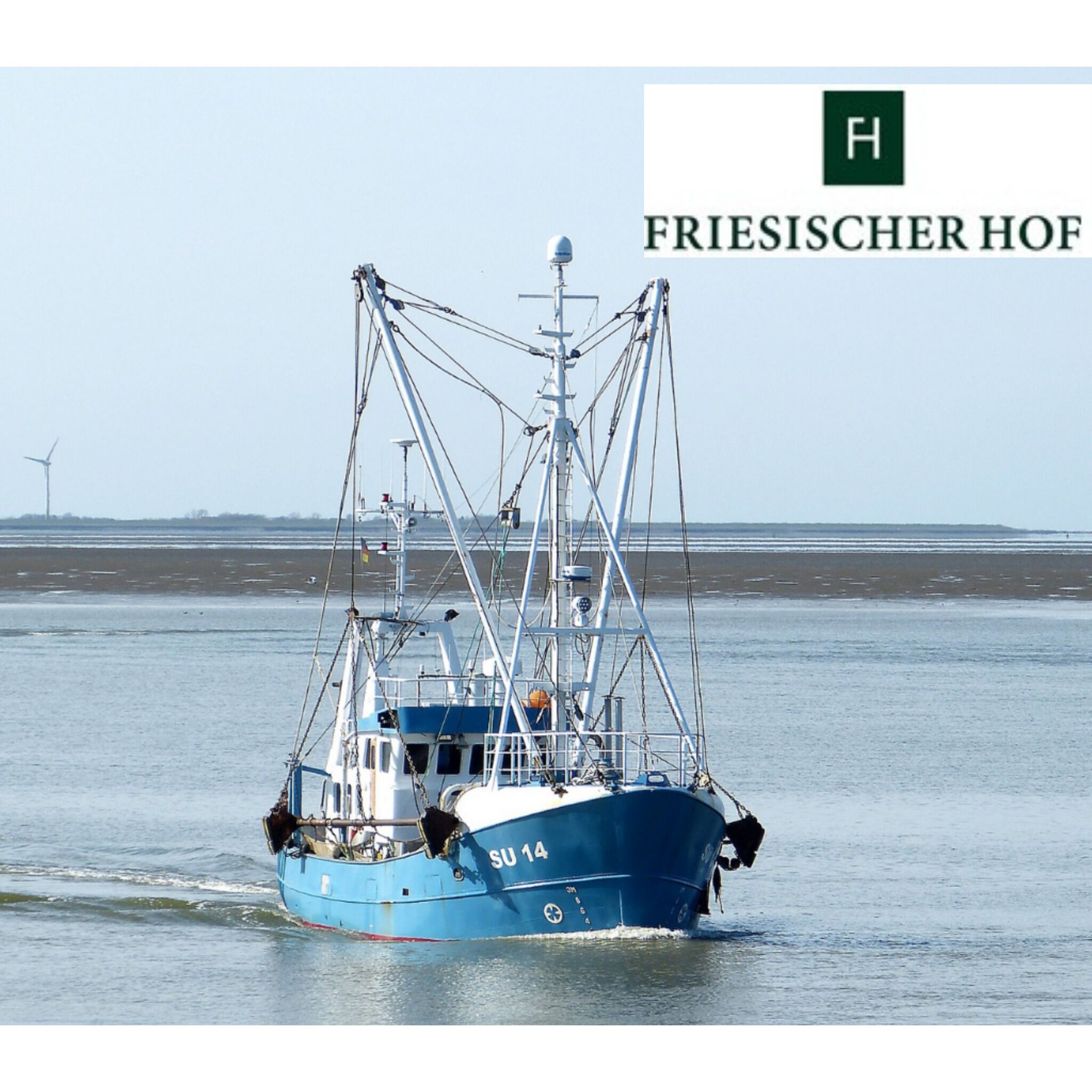 Ein blaues Fischerboot mit der Aufschrift SU 14 fährt auf ruhigem Wasser.