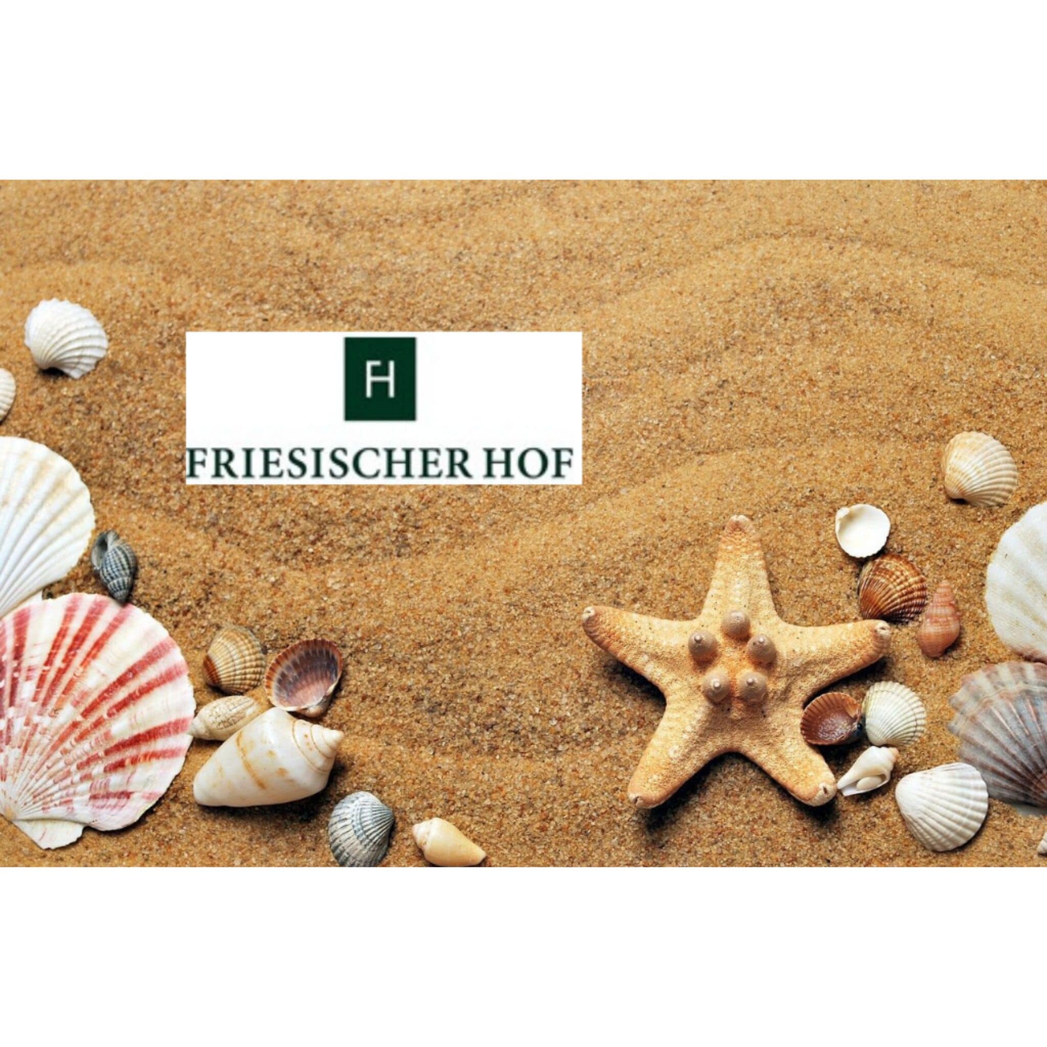 A sandy beach with various seashells and a starfish.