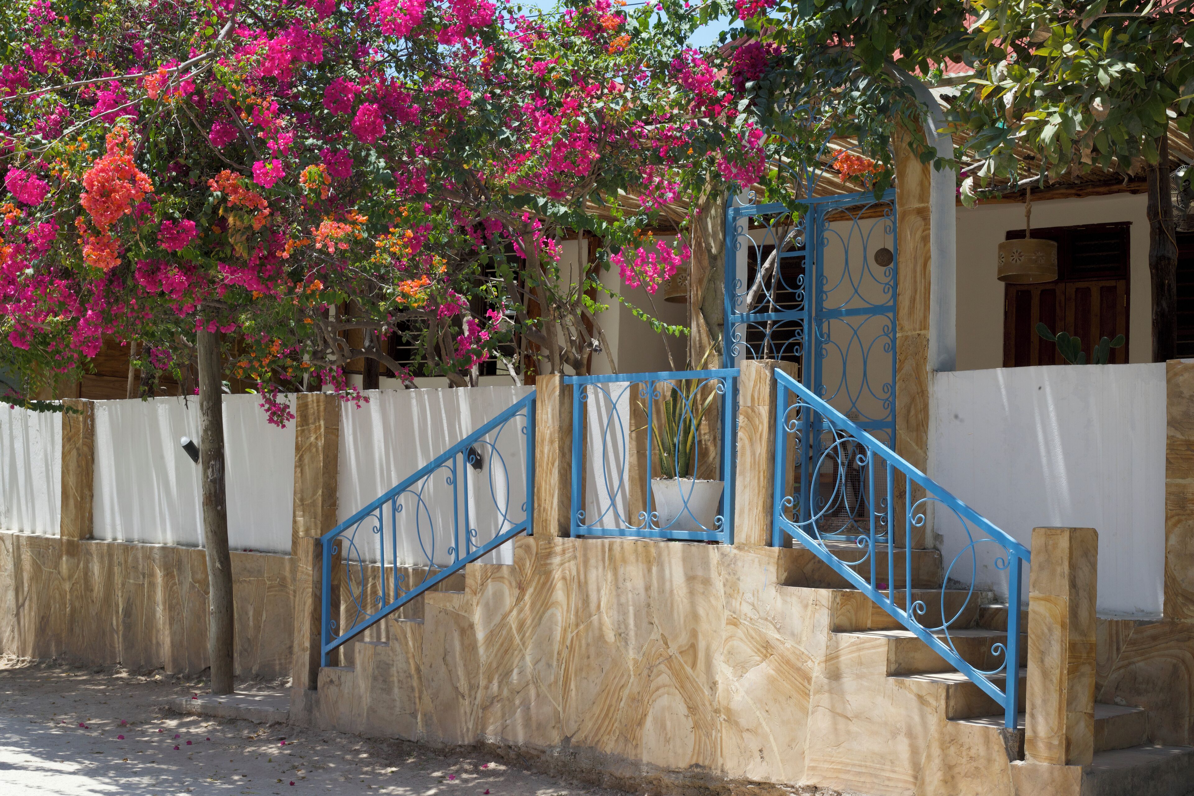 Vista frontal de la propiedad