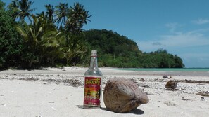 獨棟房屋, 多張床, 海景 (Fijian Oasis) | 住宿一隅