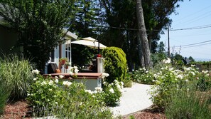 Garden - Gorgeous Country Home (Sebastopol)