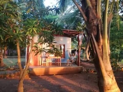 Rosa's Lake Cabins
