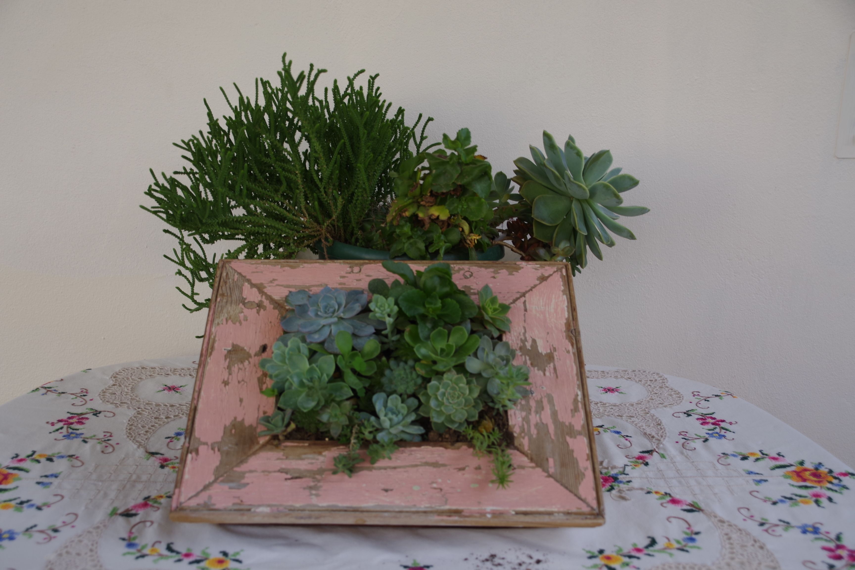 Una jardinera cuadrada con varios suculentos sobre una mesa con mantel floral.