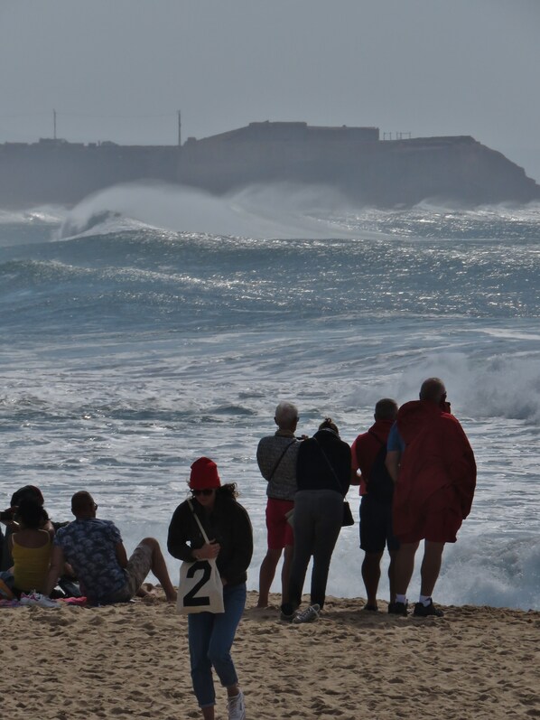 Beach nearby, snorkelling, windsurfing, surfing