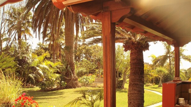 Un espace extérieur abrité, doté d’une pergola en bois, de plantes en pot et d’une pelouse agrémentée de palmiers.