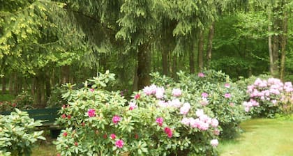 Un studio dans une belle nature au bord de la lande sud