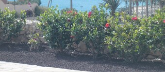 Romantic Villa Romeo with private pool, with stunning panoramic views of the