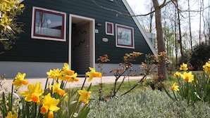 Una casa con fachada verde oscuro, una puerta blanca y un pequeño porche. Hay narcisos en primer plano.