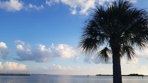 A beach with a palm tree, calm water, and a distant pier. - House with solar heated pool and lake view! (Port Charlotte)
