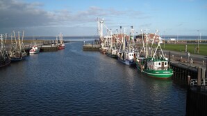 A harbor with multiple fishing boats docked at piers. - Holiday house near the beach, child-friendly, high quality, Weber grill, WiFi free (Dornum)