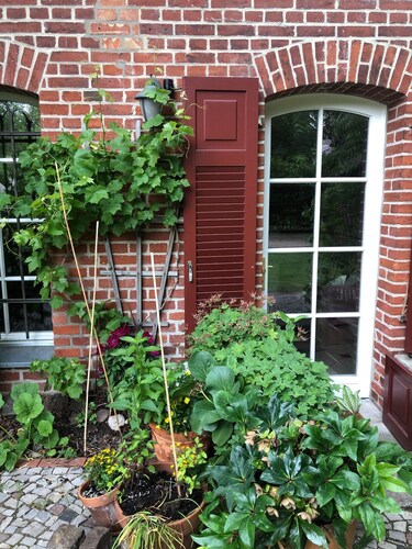 Charming apartment in Tudor style mansion (only 15 minutes to Prenzlauer Berg)