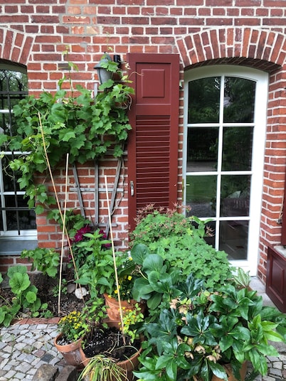 Charming apartment in Tudor style mansion (only 15 minutes to Prenzlauer Berg)