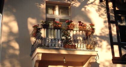 Charming apartment in Tudor style mansion (only 15 minutes to Prenzlauer Berg)