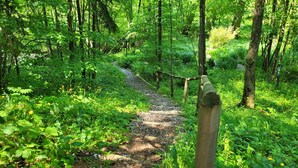 A forested path with a wooden fence and a gravel trail. - Tegernsee Chalet vacation homeexceptional (Gmund am Tegernsee)