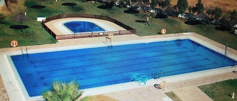 A rectangular swimming pool with a deck area, surrounded by palm trees and a fenced garden.