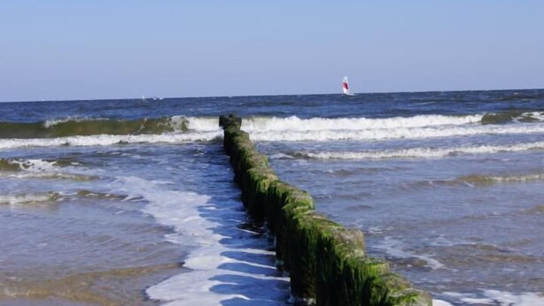 A coastal scene with waves crashing against a moss-covered wooden barrier. - 4-star holiday home with terrace, large garden, 3 bedrooms and 2 bathrooms (Seebad Heringsdorf)